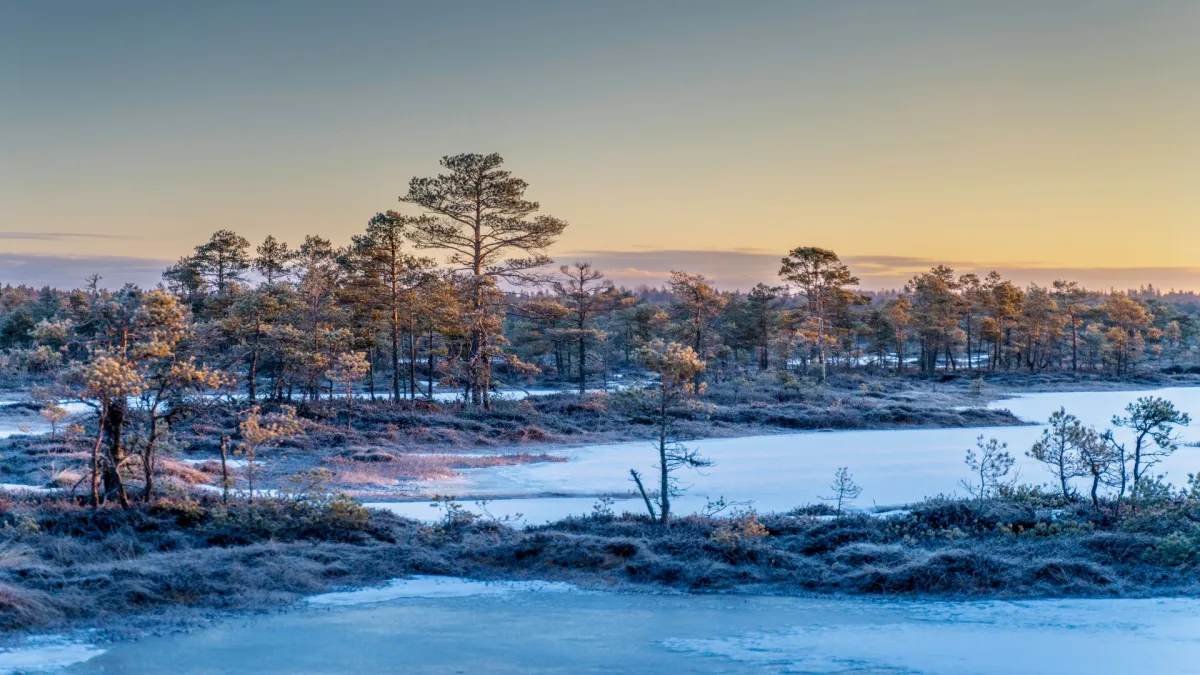 Best Time to Visit Estonia from India for Indian travellers