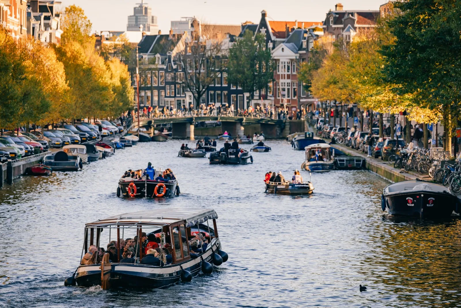 Best Time to Visit Netherlands from India travel guide for Indian travellers