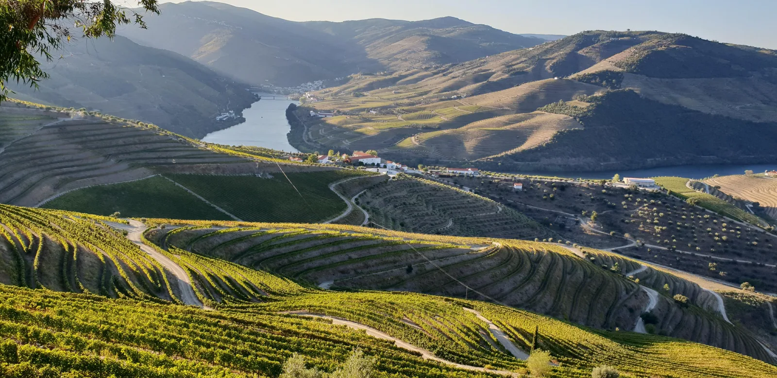 Douro Valley Wine Tour from Porto Guide travel guide for Indian travellers