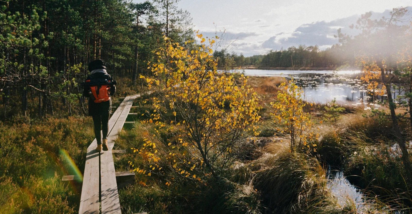 Estonia Digital Nomad Guide for Indians travel guide for Indian travellers