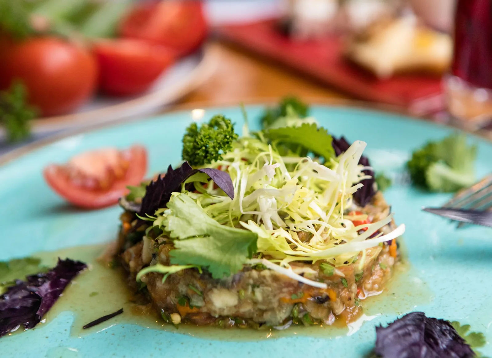 Estonia Vegetarian Vegan Guide for Indians travel guide for Indian travellers