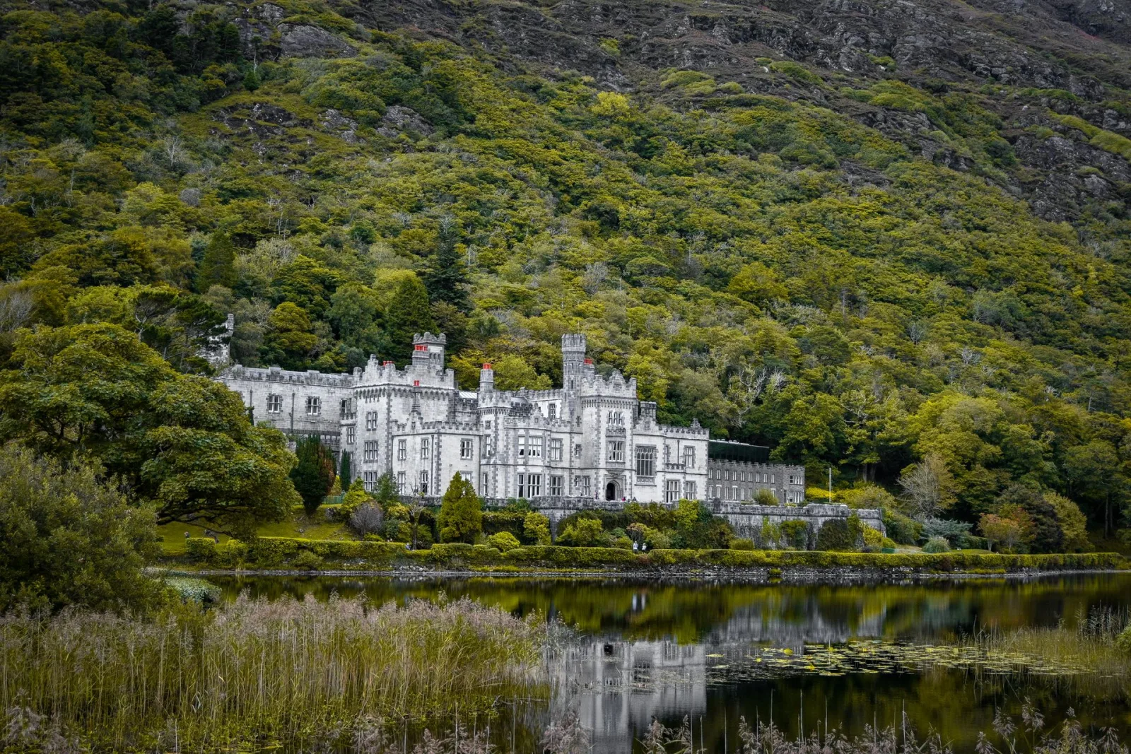 Ireland Trip Cost from India travel guide for Indian travellers