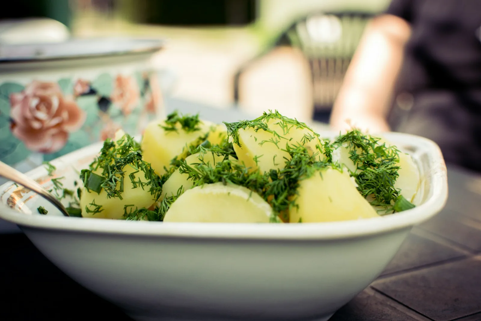 Lithuania Vegetarian & Vegan Guide travel guide for Indian travellers