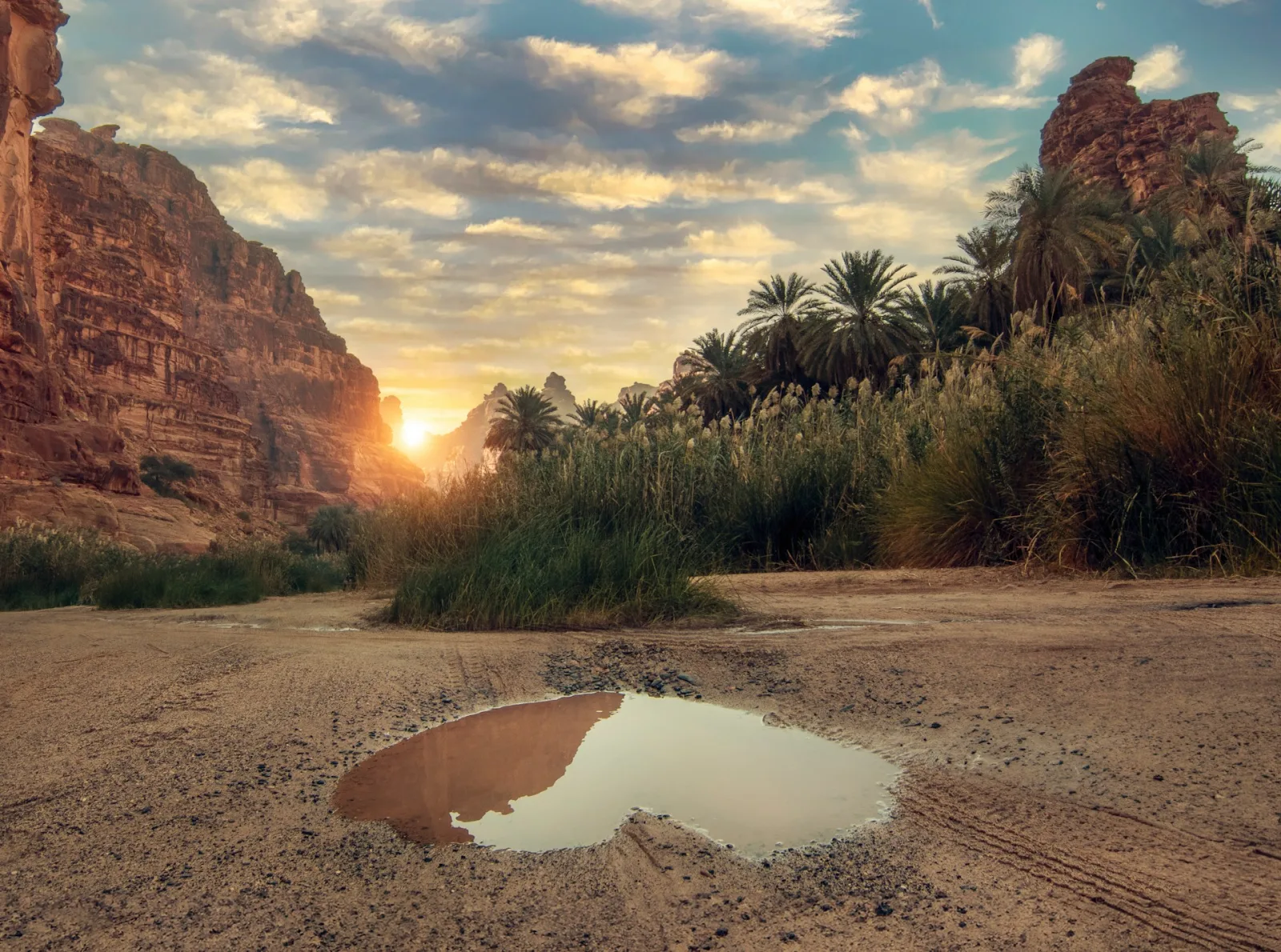 Saudi Arabia Weather & Packing Guide travel guide for Indian travellers