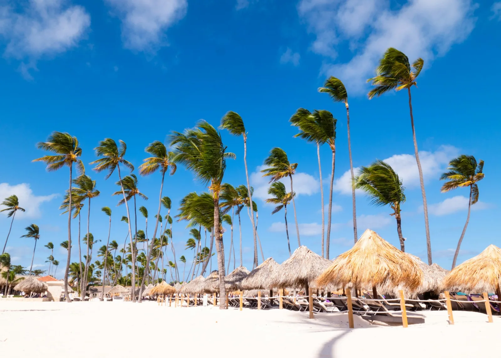 Costa Rica Winter Holidays Guide travel guide for Indian travellers