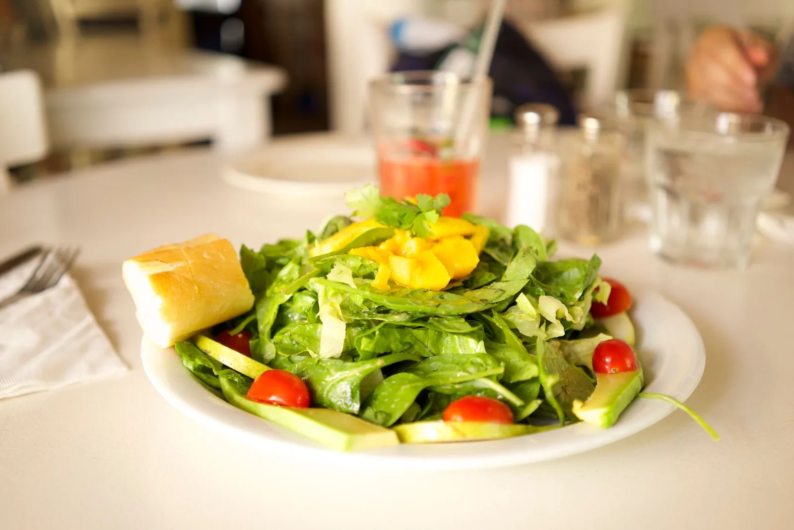 Dominican Republic Vegetarian Travel Guide travel guide for Indian travellers