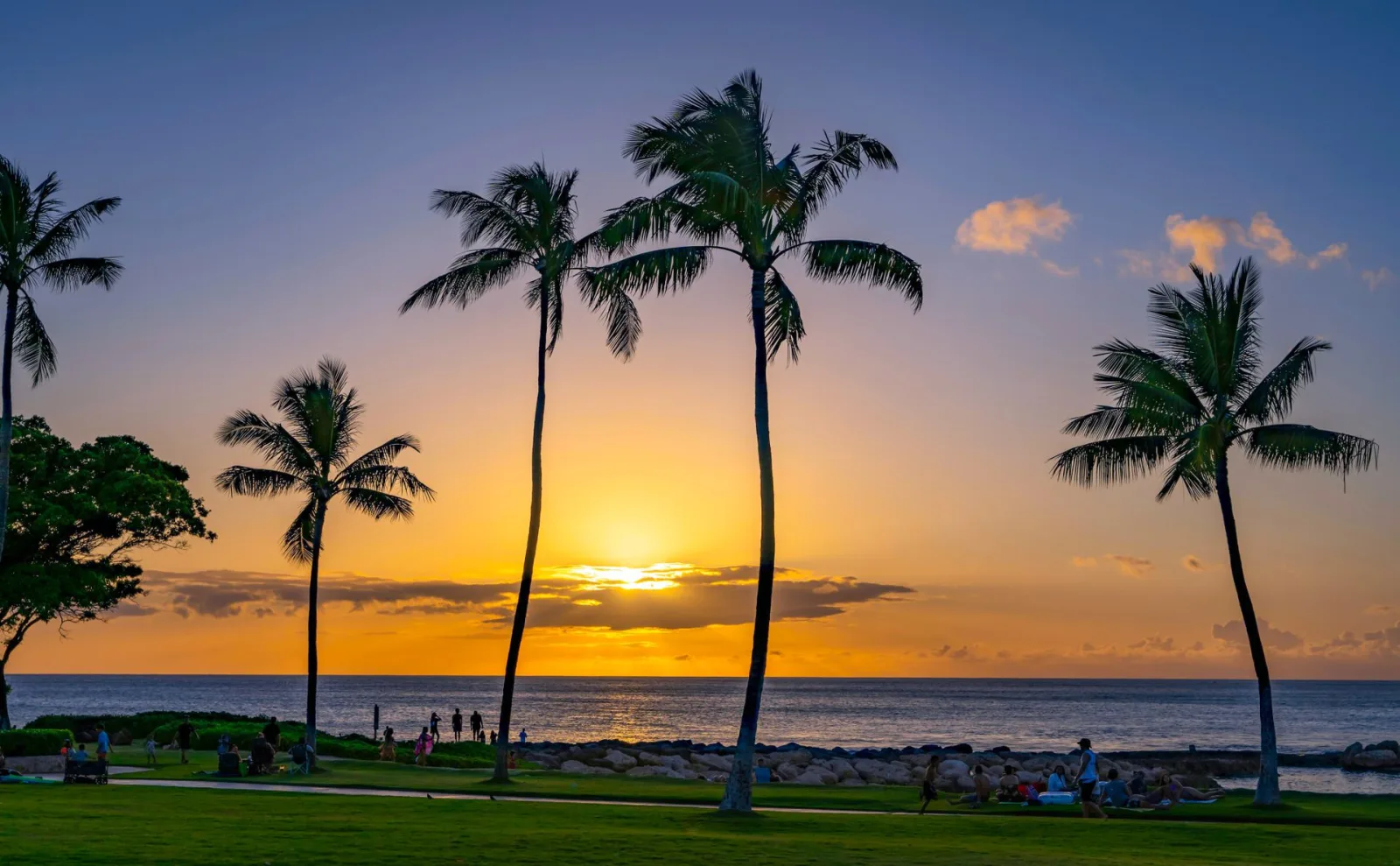 Hawaii Accessible Travel Guide for Indian travellers