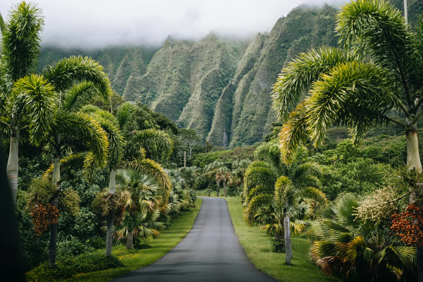 Hawaii Itinerary from India travel guide for Indian travellers