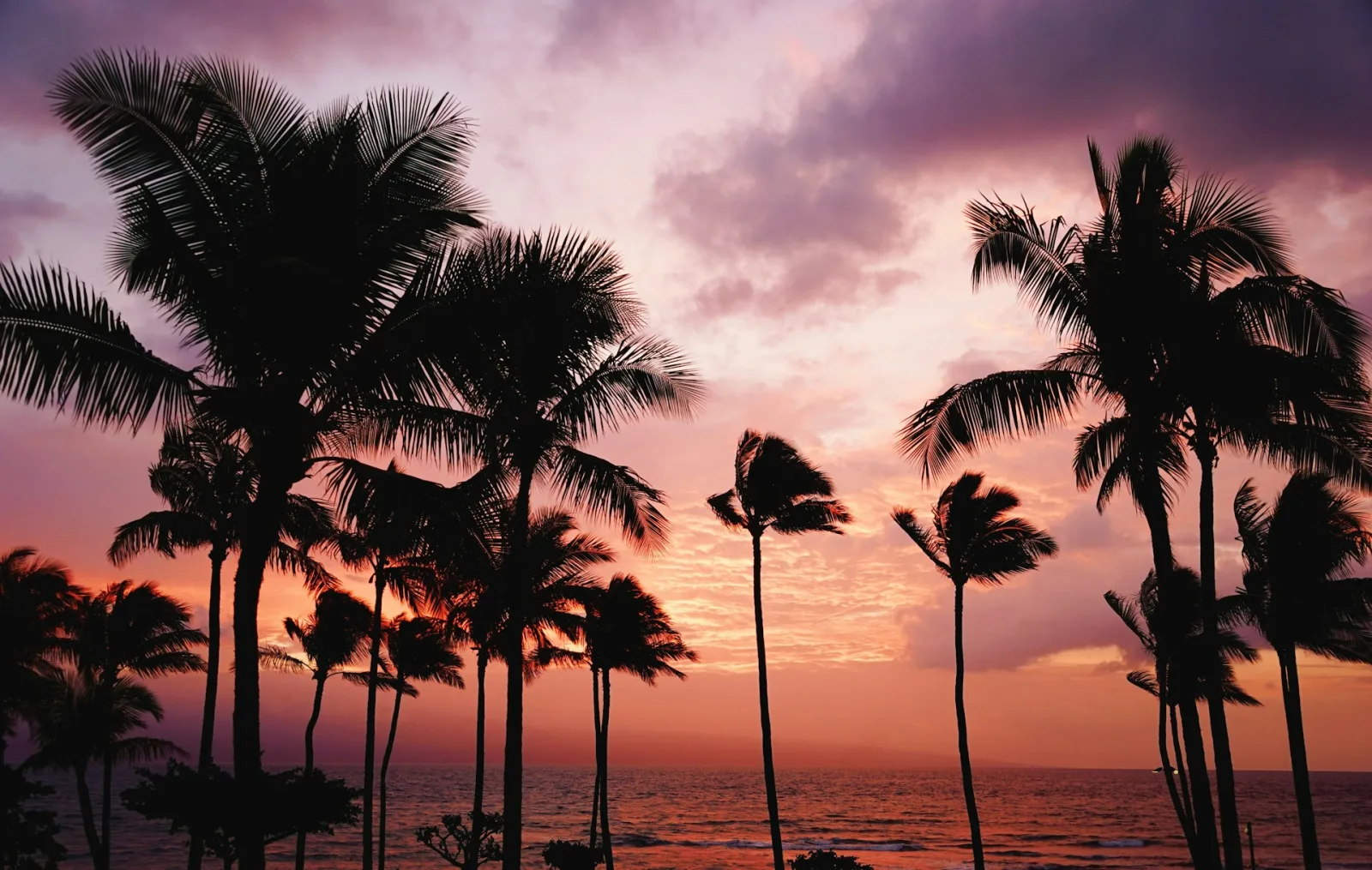 Hawaii Spring Travel Guide travel guide for Indian travellers