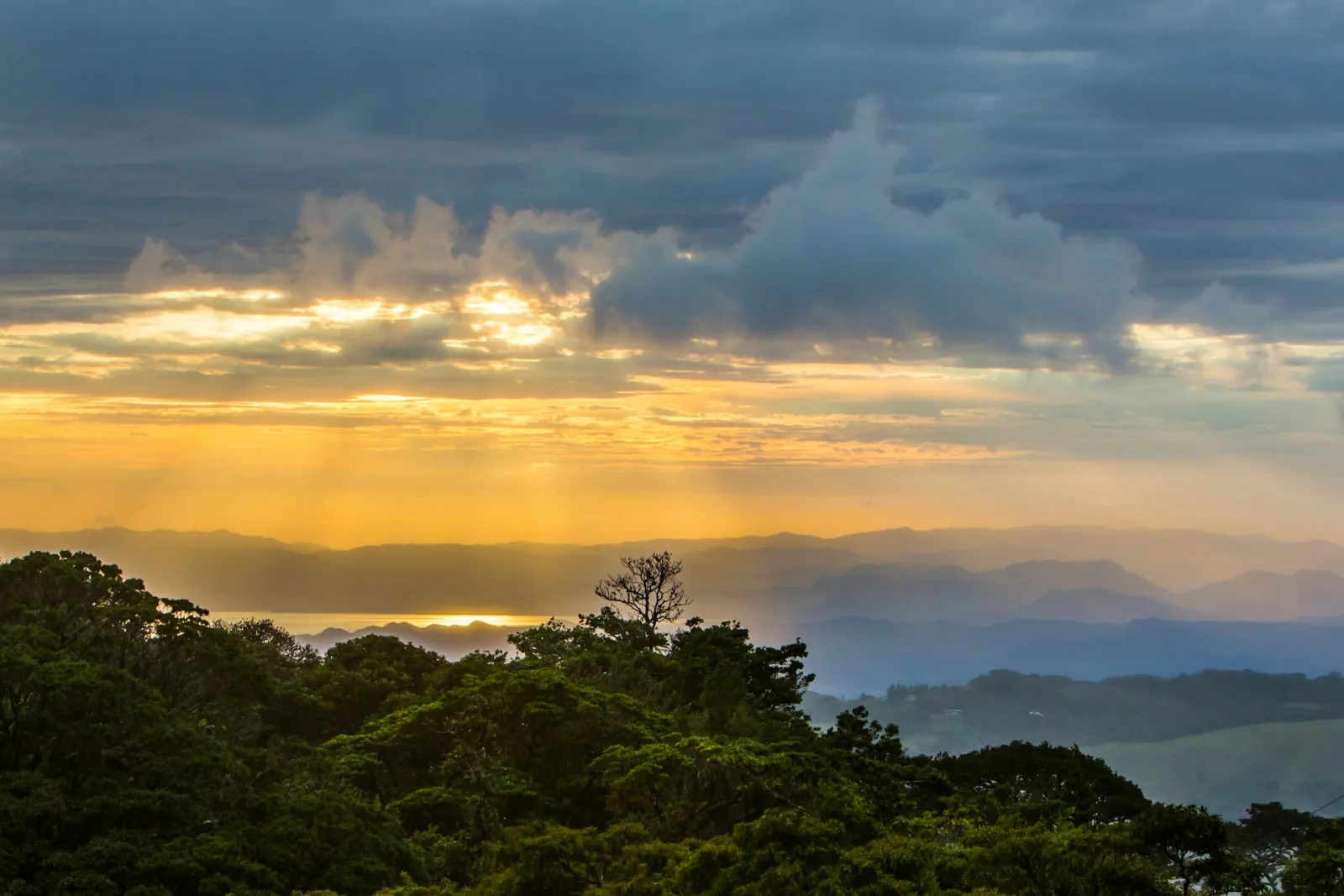 Monteverde Cloud Forest Travel Guide travel guide for Indian travellers