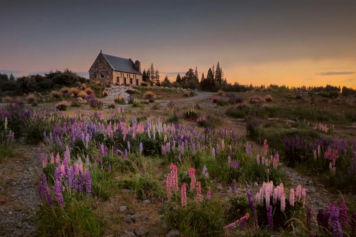 Best Time to Visit New Zealand from India for Indian travellers