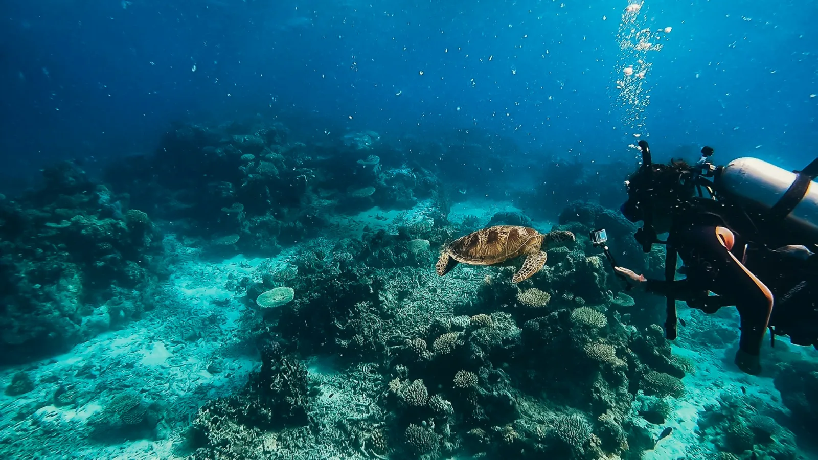 Coral Coast Resort Guide travel guide for Indian travellers