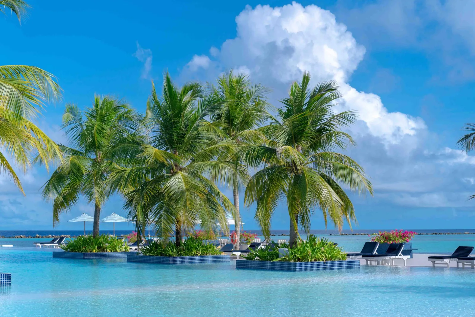 Fiji Resort Deals for Indians travel guide for Indian travellers
