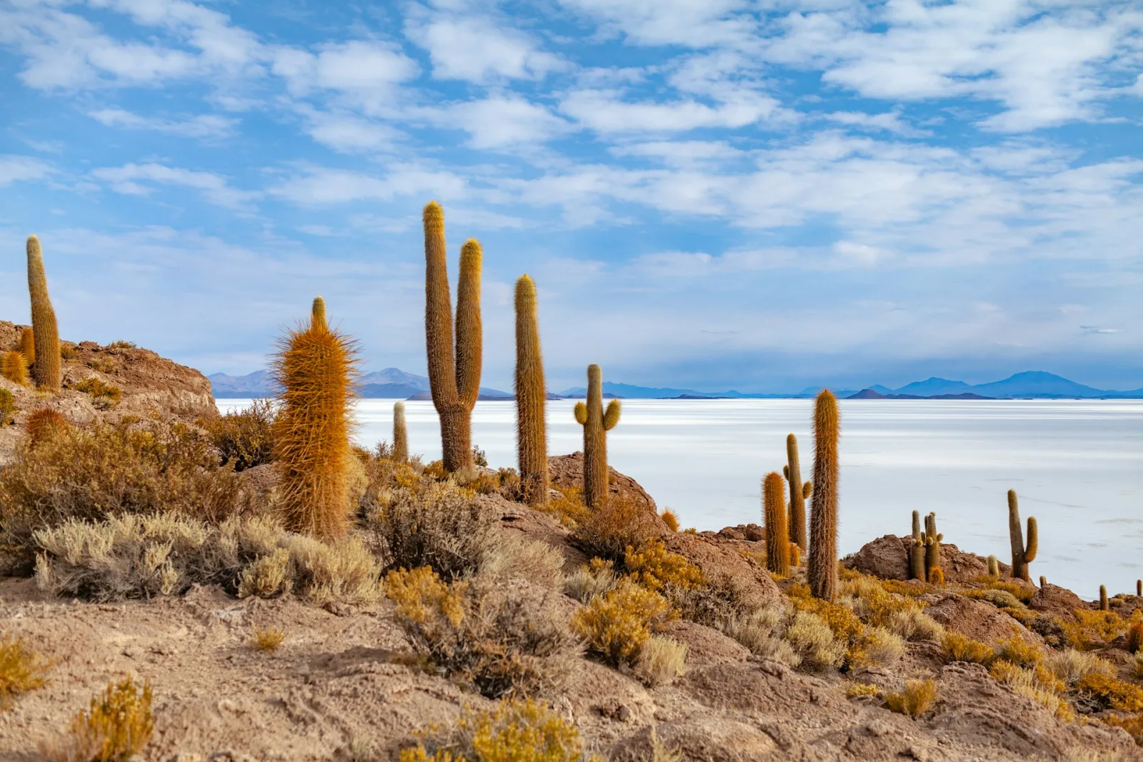 Bolivia Travel Guide travel guide for Indian travellers