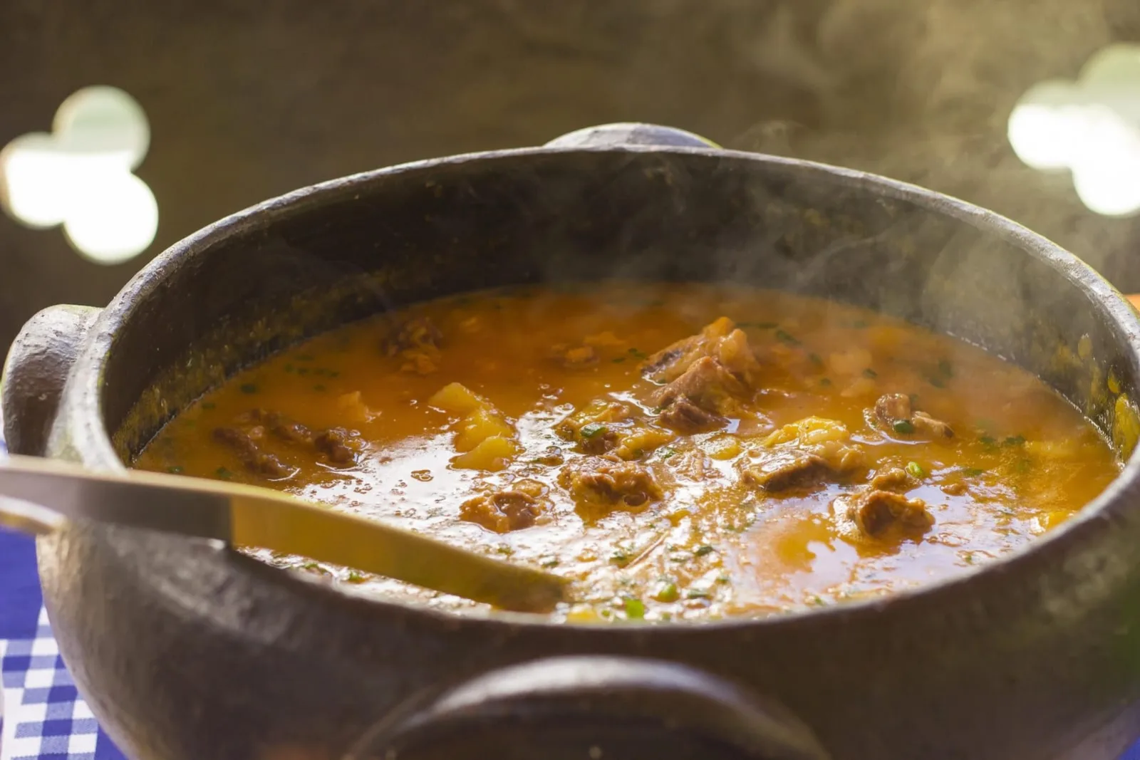 Brazil Vegetarian Travel Guide travel guide for Indian travellers
