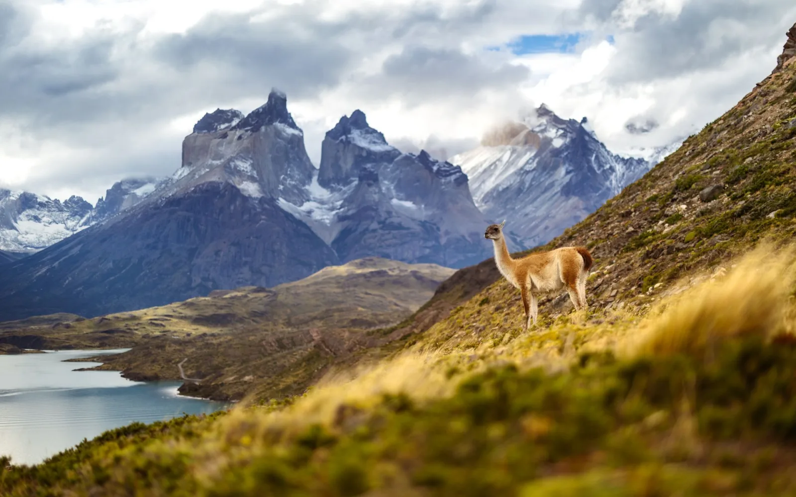 Chile Travel Guide travel guide for Indian travellers