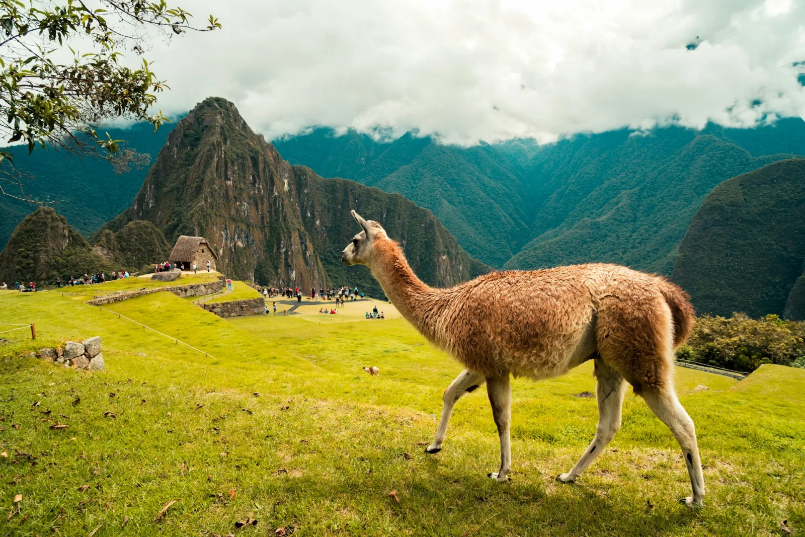 Peru Trip Cost from India travel guide for Indian travellers