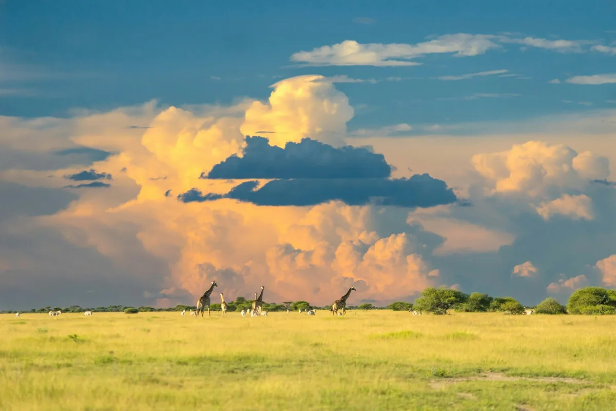 Botswana visa requirements for Indian travellers
