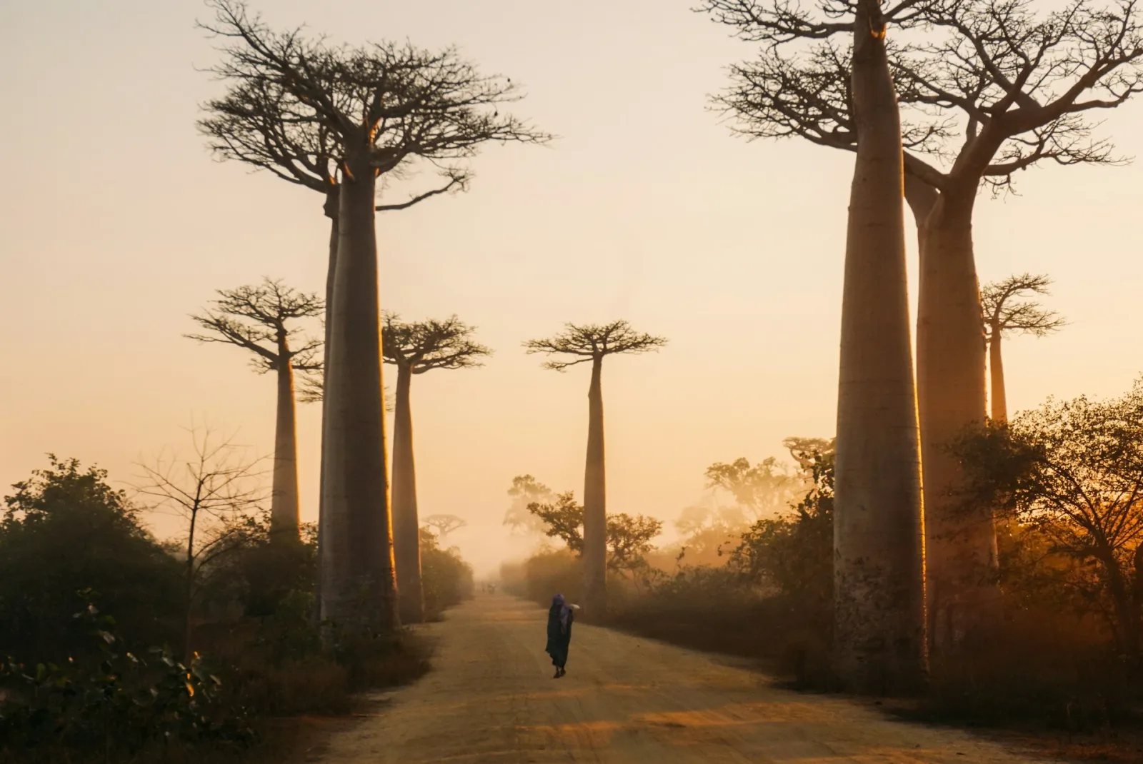 Madagascar Visa