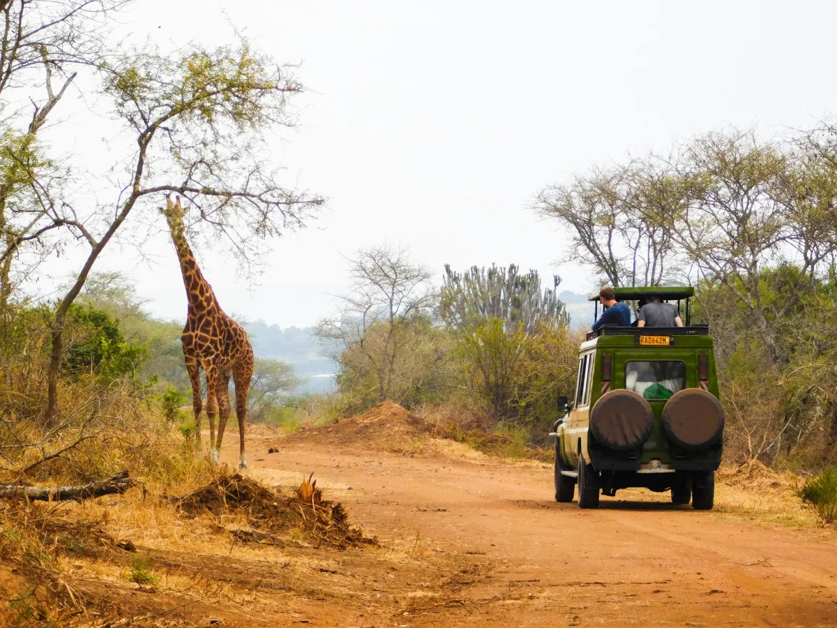Rwanda visa requirements for Indian travellers