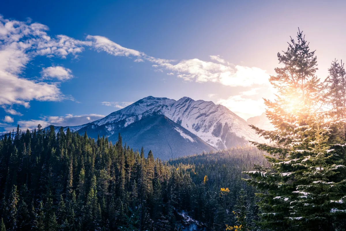 Canada visa requirements for Indian travellers