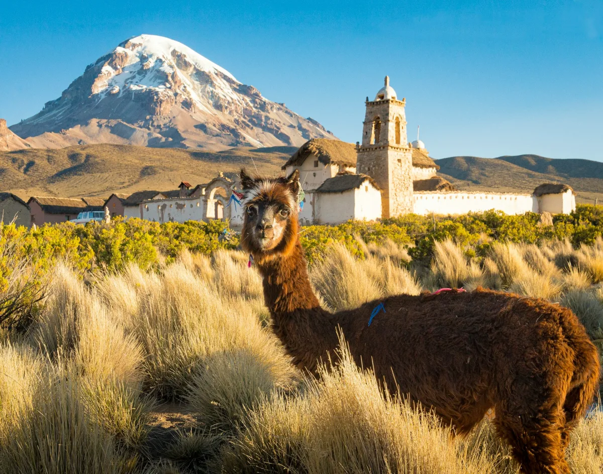 Bolivia visa requirements for Indian travellers